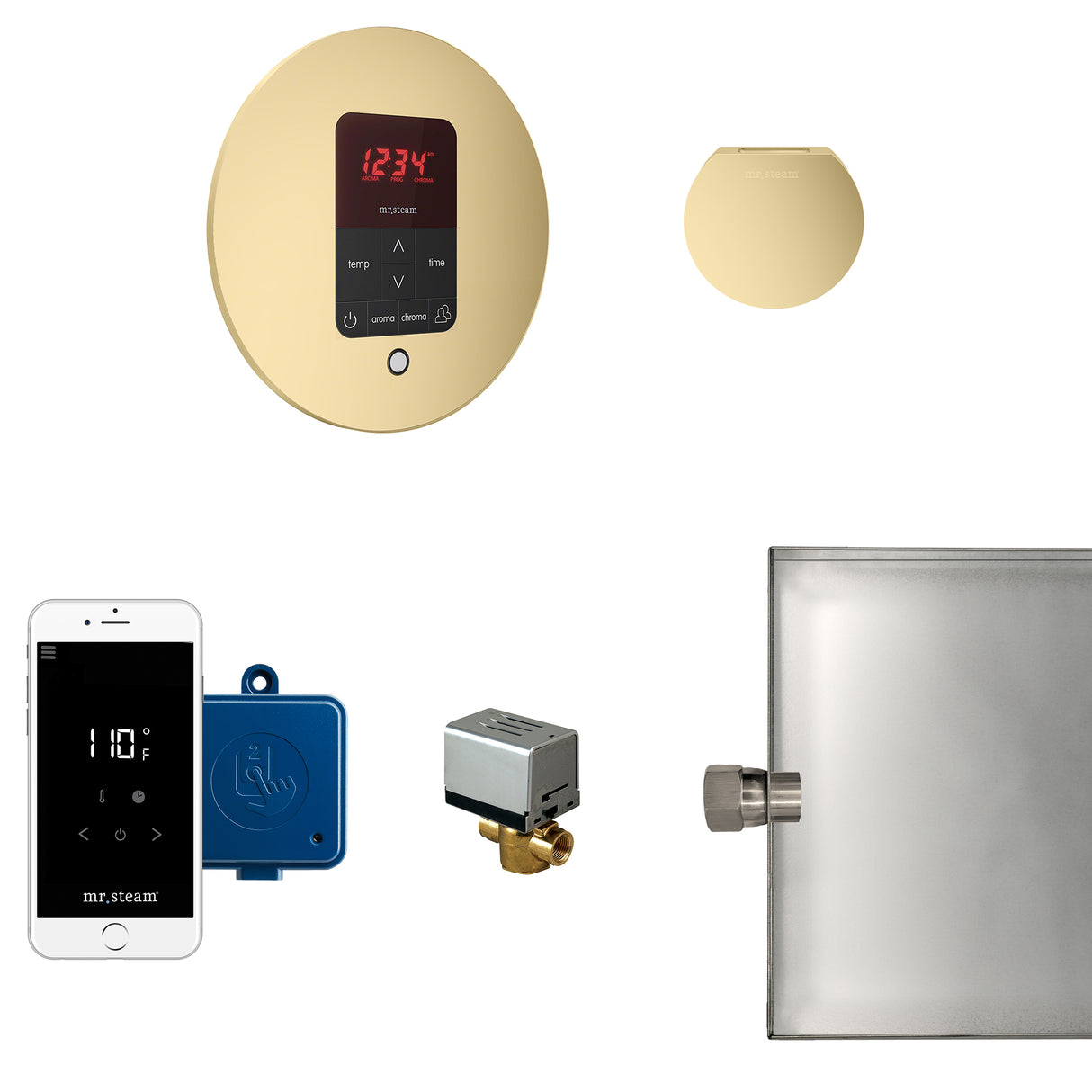 Mr. Steam Butler Steam Shower Control Package with iTempoPlus Control and Aroma Designer SteamHead in Round Satin Brass