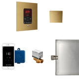 Mr. Steam Butler Steam Shower Control Package with iTempoPlus Control and Aroma Designer SteamHead in Square